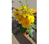 Кореопсис ланцетолистий (Coreopsis lanceolata)